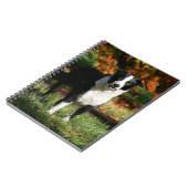 ボーダーコリーの秋の地位 ノートブック (左側)