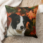 ボーダーコリーの秋のHeadshot クッション (ブランケット)
