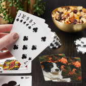 ボーダーコリーの秋のHeadshot トランプ (インサイチュ)