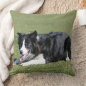 ボーダーコリーの置くこと クッション (ブランケット)