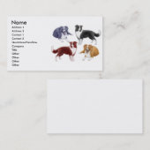 ボーダーコリーは名刺の後をつけます 名刺 (正面/裏面)