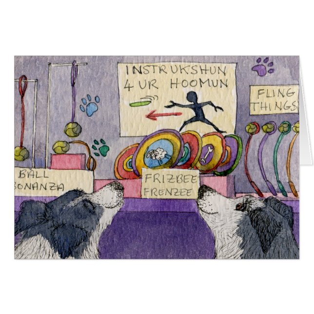 ボーダーコリーは窓ショッピングの後をつけます (正面横)