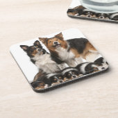 ボーダーコリー家族 コースター (左側)