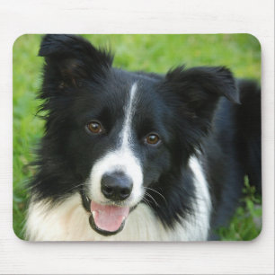 ボーダーコリー犬は文字ペットを加えます マウスパッド