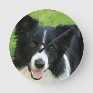 ボーダーコリー犬は文字ペットを加えます ラウンド壁時計