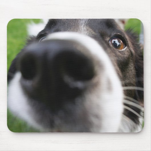 ボーダーコリー犬鼻 マウスパッド (正面)