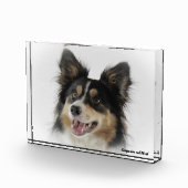 ボーダーコリー犬 フォトブロック (右)