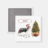 ボーダーコリー クリスマスの犬 もみの木 マグネット (正面/裏面)