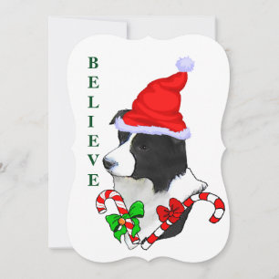 ボーダーコリー クリスマス