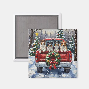 ボーダーコリー クリスマス 赤いトラック ホリデー マグネット