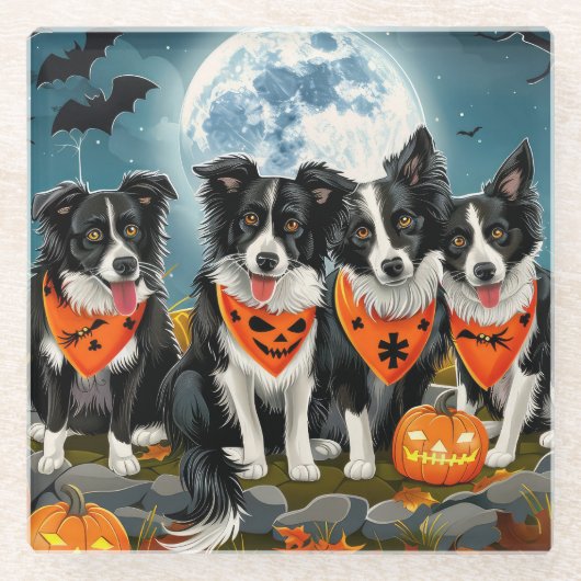 ボーダーコリー ハロウィン スプーキー ガラスコースター (正面)