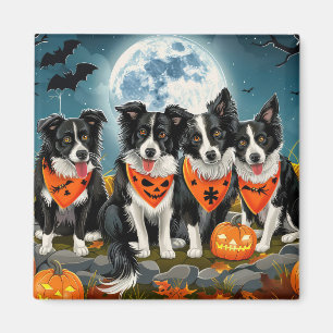 ボーダーコリー ハロウィン スプーキー マグネット