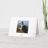 ボーダーコリー ペット 犬 動物 かわいい 運命の贈り物 カード (裏面)