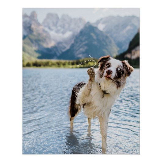 ボーダーコリー 湖 冒険 山 犬 旅行 ポスター (正面)