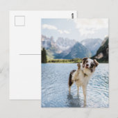 ボーダーコリー 湖 冒険 山 犬 旅行 ポストカード (正面/裏面)