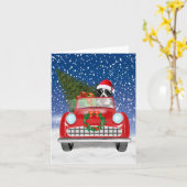 ボーダーコリー 犬が雪の中で赤い車を運転するクリスマス カード (黄色い花)