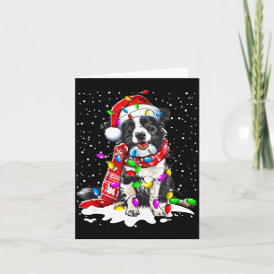 ボーダーコリー 犬 イルミネーション クリスマス サンタ 帽子 カード