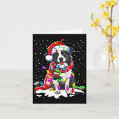 ボーダーコリー 犬 イルミネーション クリスマス サンタ 帽子 カード (黄色い花)