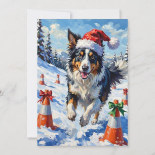 ボーダーコリー 犬 クリスマス スノー アジリティ 楽しい