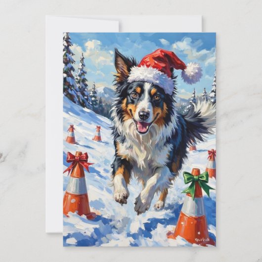 ボーダーコリー 犬 クリスマス スノー アジリティ 楽しい (正面)