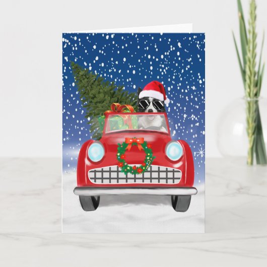 ボーダーコリー 犬 スノークリスマスに車を運転する  プログラム (正面)