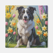 ボーダーコリー 犬 春の花 絵画 マグネット (正面)