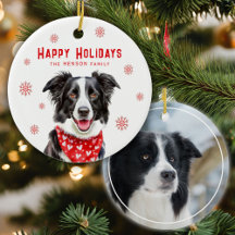 ボーダーコリー 赤いハート バンダナ クリスマス 写真
