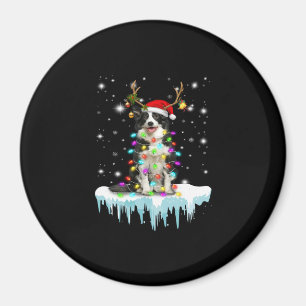ボーダーコルライントナダークリスマスプレゼント マグネット