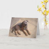 ボーダーテリアの子犬 カード (黄色い花)