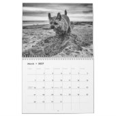 ボーダーテリア犬、媒体、白いカレンダー カレンダー (3月 2027)