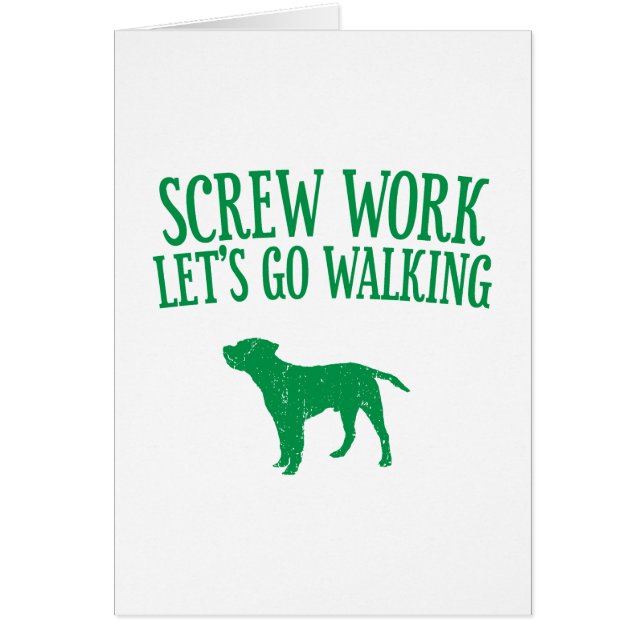 ボーダーテリア (正面)