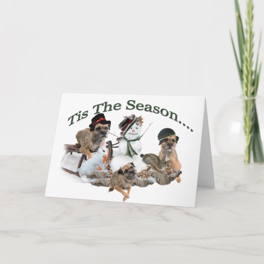 ボーダーテリアTis季節 シーズンカード (正面)