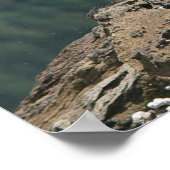 ボーディングイーグルフライトファインアートプリント ポスター (角)