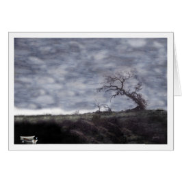 ボートおよびカシ