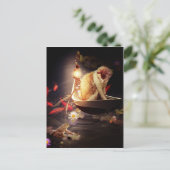 ボートに乗った猫 ポストカード (スタンド正面)