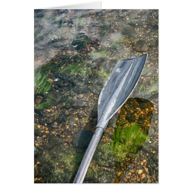 ボートのかいが付いている澄んな水入り江 (正面)