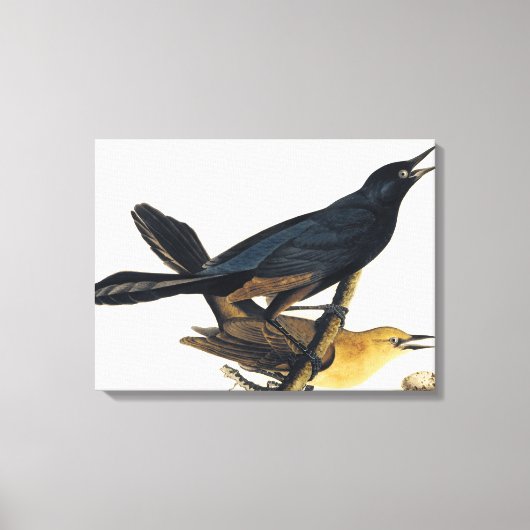 ボートの尾の付いた足袋 キャンバスプリント (正面)