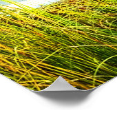 ボートの波止場 ポスター (角)