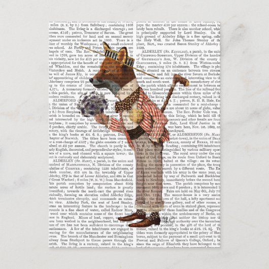 ボートの狐 ポストカード (正面)