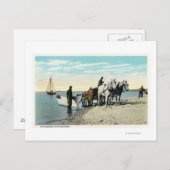 ボートを引っ張った馬車の見解 ポストカード (正面/裏面)