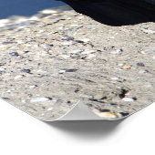 ボートテール・ラックル・ポスター ポスター (角)