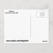 ボートハウスインフォレストパーク ポストカード (裏面)