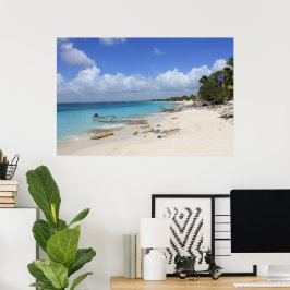 ボートビーチ ポスター