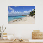 ボートビーチ ポスター (キッチン)