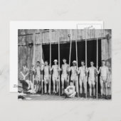 ボート乗務員， 1916 ポストカード (正面/裏面)