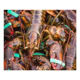 ボート24x20コダックのプロ写真(サテン)を離れて新しい フォトプリント           