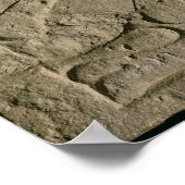 ボート「フェリックス・イタラ」を描いたステラ ポスター (角)