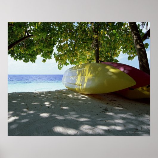 ボート ポスター (正面)