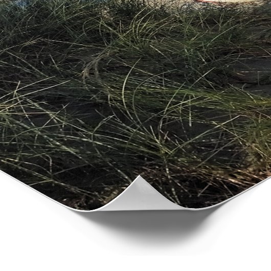 ボート ポスター (角)