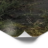 ボート ポスター (コーナー)